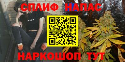 крисы Будённовск